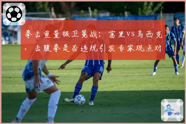 拳击重量级卫冕战:富里vs乌西克,击腹拳是否违规引发专家观点对立
