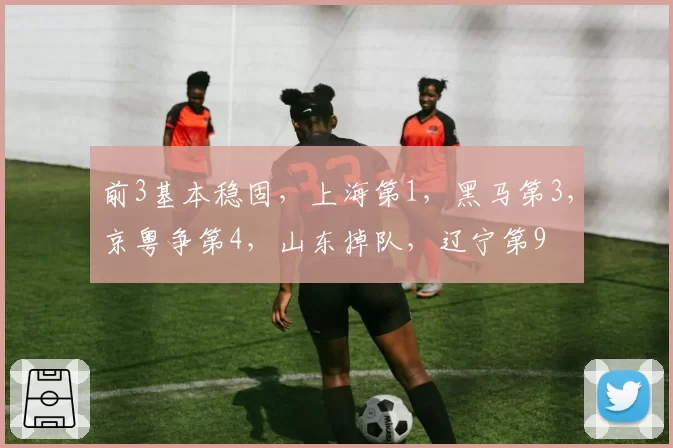 前3基本稳固，上海第1，黑马第3，京粤争第4，山东掉队，辽宁第9