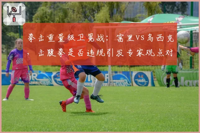 拳击重量级卫冕战:富里vs乌西克,击腹拳是否违规引发专家观点对立